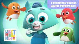 Гимнастика для птички | Цветняшки! Песни | песенка про движение для детей 0+