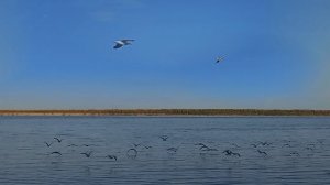 Мар-Кюельский наслег Сунтарского района