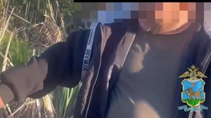 Житель Псковской области уличён полицейскими в краже оружия из машины и древесины с двух складов