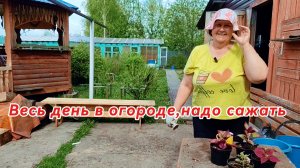 Надо все успеть, погода хорошая)