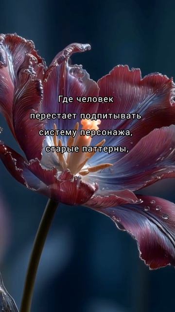 Выход к Одинности. Яна Корнилова