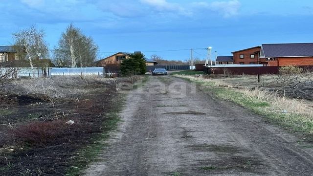 3687618 смотреть онлайн