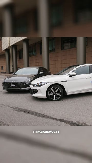 Hyundau Avante VS Volkswagen Lamando #автоизкореи #автоизкитая #подборавто #автозаказ