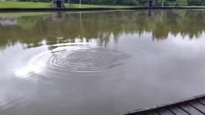 Карпуша