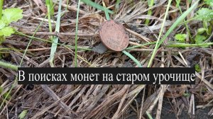 В поисках монет на старом урочище