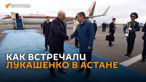Голубая дорожка, караул и розы: как встречали Лукашенко в Астане