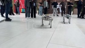 Технофестиваль Startup Village в Москве