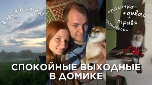 Продолжаем наводить уют в деревенском домике | скосили пол участка ручной косой