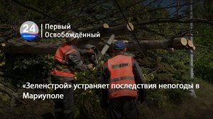 «Зеленстрой» устраняет последствия непогоды в Мариуполе. 28.05.2026