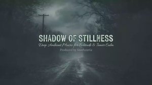 Shadow of Stillness