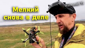 Оживил заброшенный 3' дрон. Walksnail 1S снова в деле!