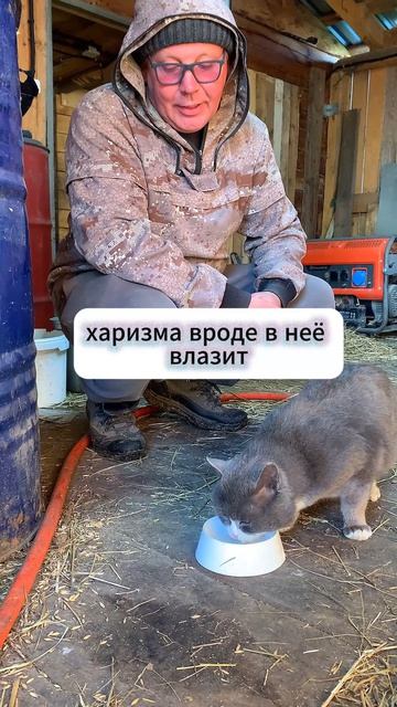 ХАРИЗМА В ЧАШКЕ? 😂 Лорд одобрил!