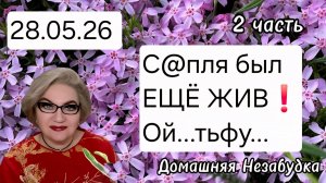 2 часть. С@пля был ЕЩЁ ЖИВ😱❗️Ой ,тьфу ❗️