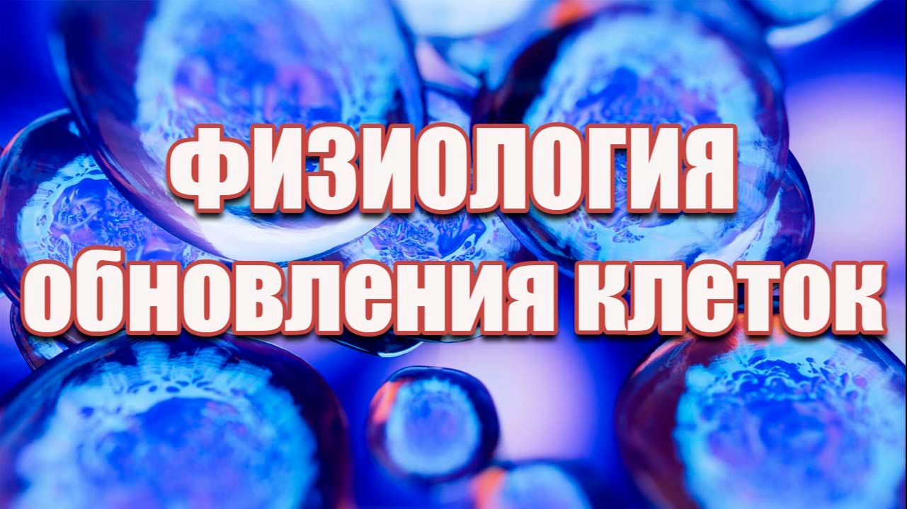 Физиология обновления клеток