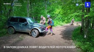 В заповедниках ловят водителей мототехники