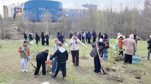 В Пыть-Яхе активисты высадили сосны и берёзы