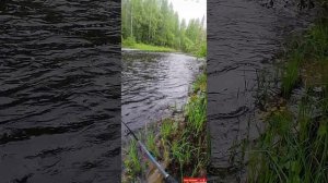Отличная щучка на лайтовый спиннинг ВОЛЖАНКА КОМПРОМИСС КОМПАКТ🎣