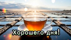 Хорошего дня! Отличного настроения! Благодарить за жизнь…