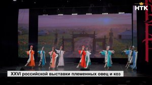 Участники российской выставки овец и коз познакомились с культурой калмыцкого народа