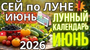 ИЮНЬ 2026 Подробный Лунный календарь для садоводов и огородников