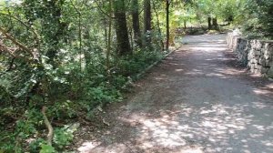Что я увидела в парке Ясная поляна 🌳🏰.