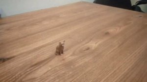 lego
кубик