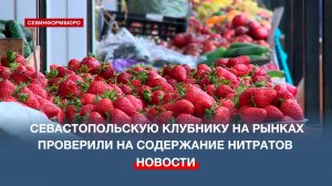 Севастопольскую клубнику на рынках проверили на содержание нитратов
