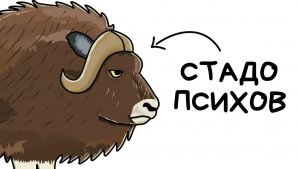 Ты - Овцебык (И ЭТО ВСЯ ТВОЯ ЖИЗНЬ)
