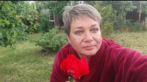 Ветрище перевернул качели. Полный обзор растений.