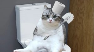 эдит