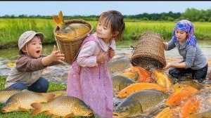Ловим рыбу в пруду для продажи. Собираю капусту. Работаю на ферме. Семья Дуонг