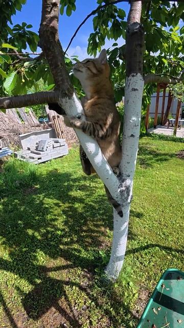 Немного видева с Люсей смотреть онлайн