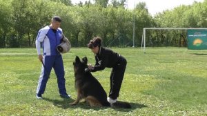 БУРЖУЙ ГРОЗА ФИГУРАНТОВ