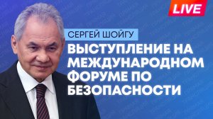 Шойгу выступает на Международном форуме по безопасности в Подмосковье
