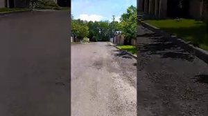 гуляем, ищем белок 🐿️ поддержать стримера 2202206894435960 жду всех ответы на вопросы