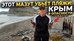 Крым в мазуте. Правда или миф? Как быть туристам?