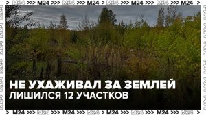Почти 500 гектаров земли изъяли у собственника в Подмосковье - Москва 24