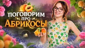 🍑 Зачем белить абрикос? Главная защита дерева весной