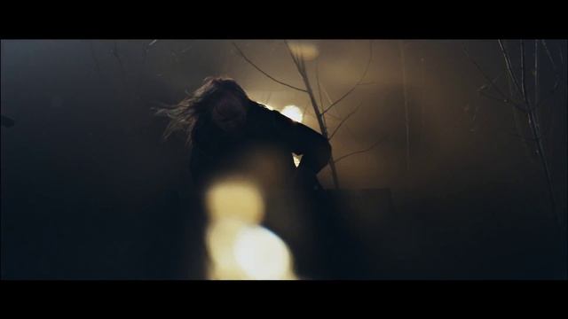 Stratovarius - Halcyon Days - Official Music Video смотреть онлайн