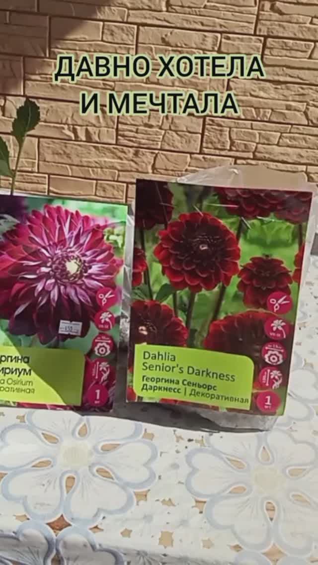 МЕЧТЫ СБЫВАЮТСЯ 😉