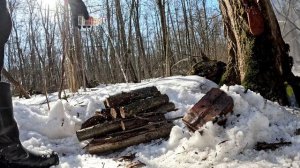 Весеннее выживание под деревом в таежной лесотундре с куском мяса