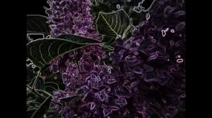 Не более чем сон стихи Весса Блюменбаум муз исп Владимир Полуничев фото Татьяна Талызина