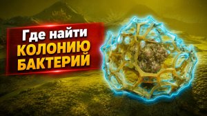 Где найти аксумскую колонию бактерий в Subnautica 2