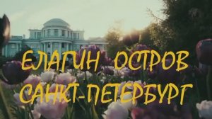 Елагин остров: руина XIX века, заброшенная оранжерея и тайный вид на залив | Необычный Петербург