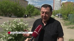 В Улан-Удэ отметили праздник цветения яблони