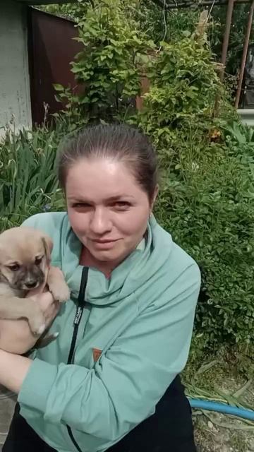 Мальчик спасен из Ильского, ищет дом