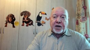 Тревожная хроника