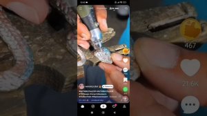 Новый Хантавирус??? (я вернулась)