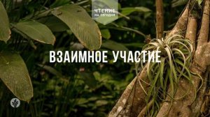 ВЗАИМНОЕ УЧАСТИЕ  | АУДИО |	2	  июня 2026