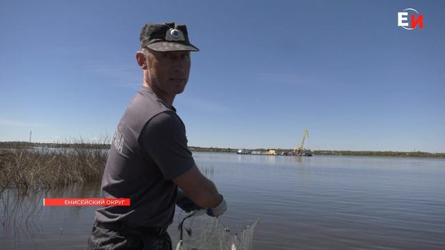ДЕНЬ БЕЗ СЕТЕЙ НА ЕНИСЕЕ смотреть онлайн
